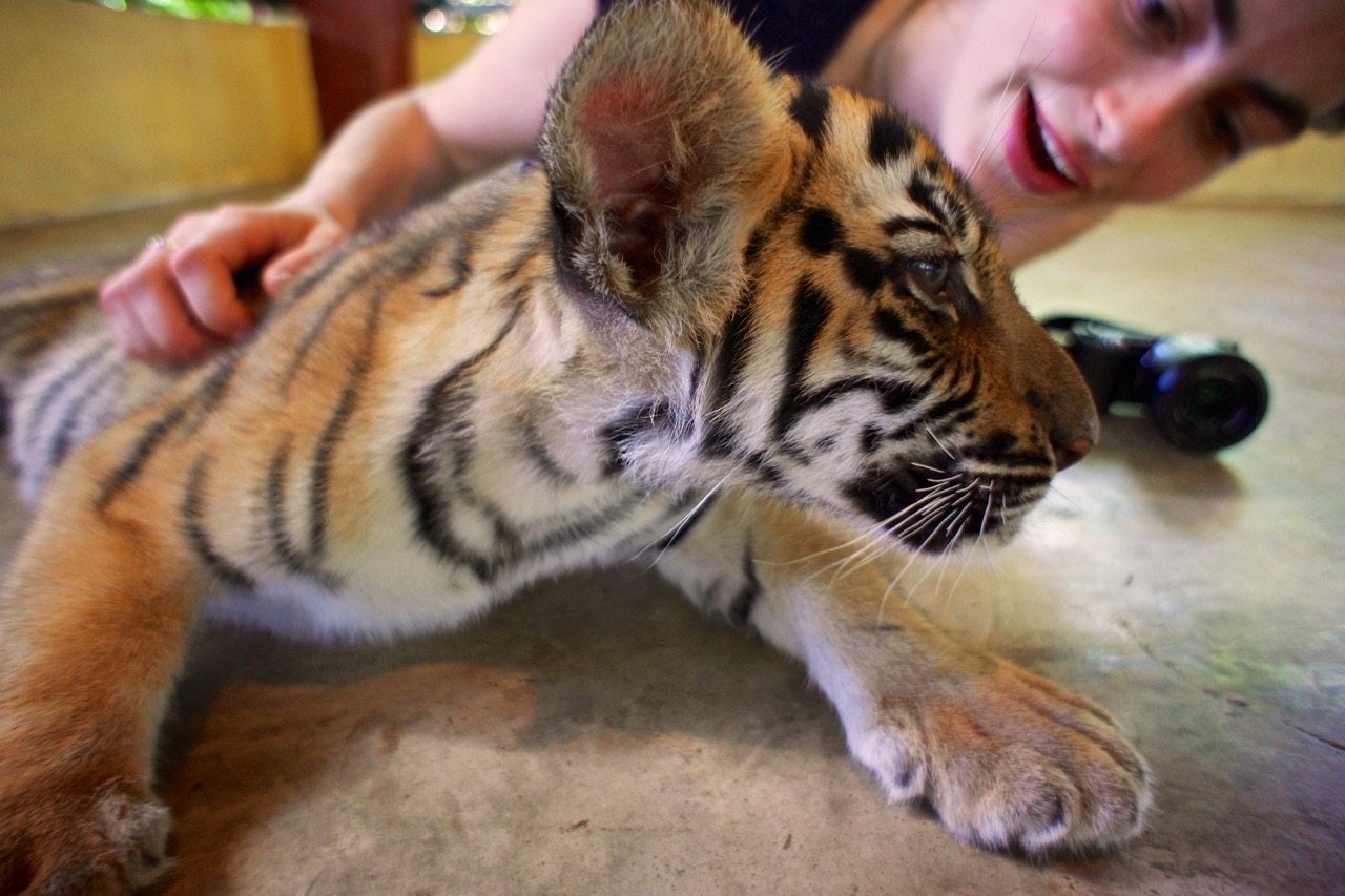 Sarah and tiger cub