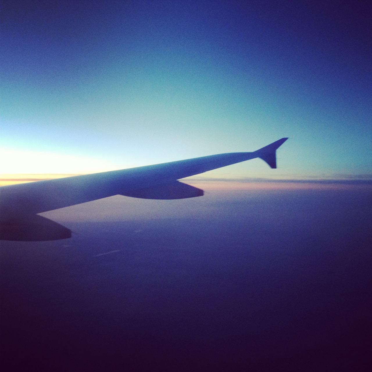 Sunset flight