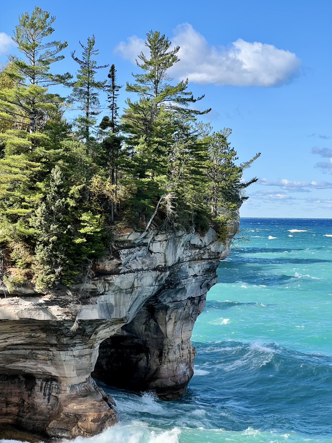 Pictured Rocks National Lakeshore, close-up on trees