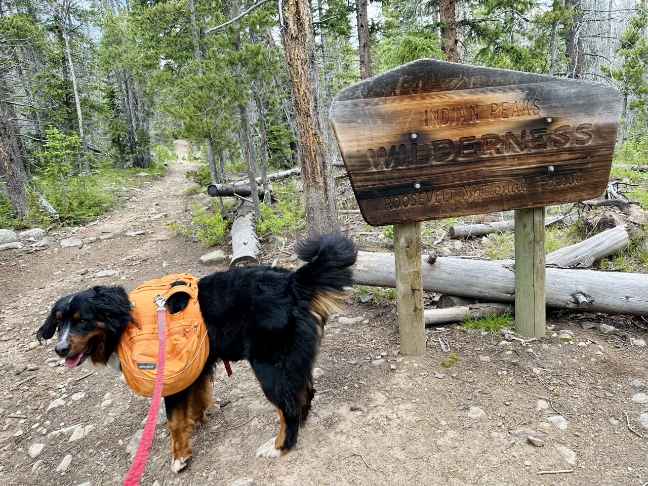 Lyra in front of the Indian Peaks Wilderness sign
